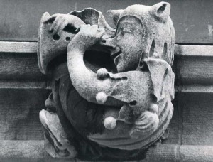 Gargoyle with Horn Nose available as 16x20 or 11x14 selenium toned gelatin silver print