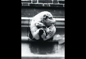 Gargoyle Pig